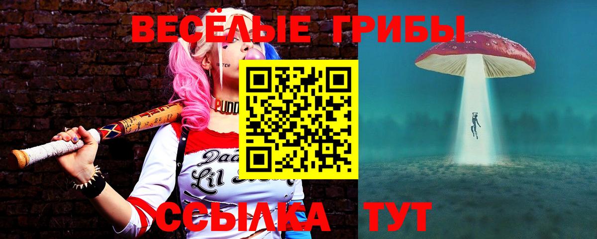 Псилоцибиновые грибы ЛСД  Псилоцибиновые грибы ЛСД  Вход с VPN  Борзя 